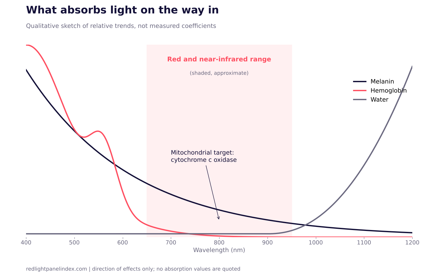 Diagram of the main light-absorbing molecules in tissue and the part of the spectrum where each matters most